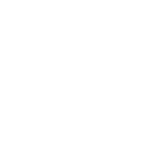 Representación Técnico-Procesal